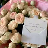 gullijan_pm15