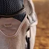 favourite.dapplegrey