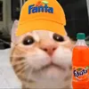 liam_gunn08