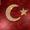 31duygu34