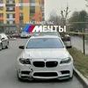timik337
