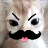 hipakrist0