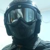 calopsitte29