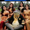 iphay28