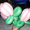 bebavi8