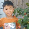 hiepbui37
