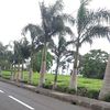 suvita_16