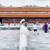 _sera181