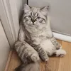 baronpsy