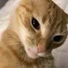 xoadiquakhu222