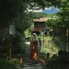 セミ