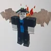 b.aochoiroblox