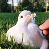 kenza_bouzid