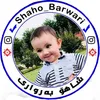 shahobarwari84