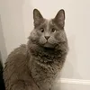 cutehecgecgec1
