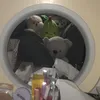 agasaby