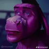 gotnothinghere1