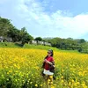 tengicungduochiha