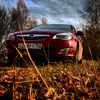 brodyaga152rus