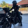 aurorarose149