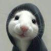 abdulbasityahyaa1