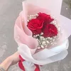 dy7b6ssa6xc5