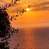 .hamsa_1234