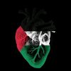 mr_himow