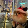 pixell_pom