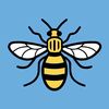 kippax08