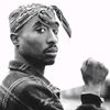 zakaria.omaru.shakur