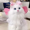 meowbaobei26_