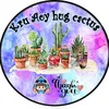 kruaoyhugcactus