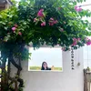 dttien_