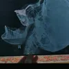 hoomieh
