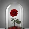 mohammadsajjad295