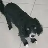 lhardrsolm7