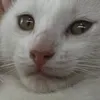 moskauyeetr