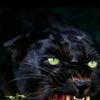isaef_iabo