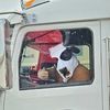 thebovinecoachline