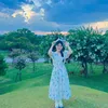 lilyys127