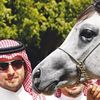 asheq888
