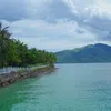 hellovietnam6866