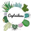 captuideas
