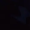 user225625728