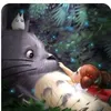 totoro_162