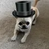 the_la_gangsta