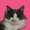 cherie670