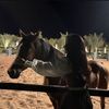 rghdra