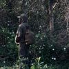 bushcraft.ryn